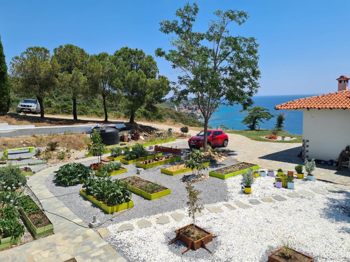 Greco Paradise Suites - Adult Only Nea Skioni Bagian luar foto